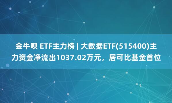 金牛呗 ETF主力榜 | 大数据ETF(515400)主力资金净流出1037.02万元，居可比基金首位