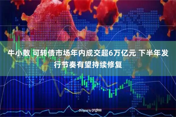 牛小散 可转债市场年内成交超6万亿元 下半年发行节奏有望持续修复