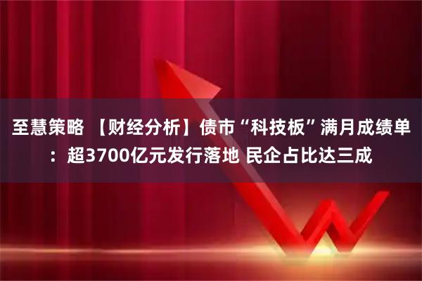 至慧策略 【财经分析】债市“科技板”满月成绩单：超3700亿元发行落地 民企占比达三成