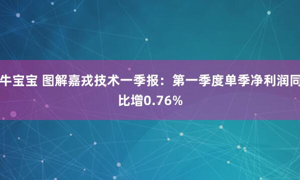牛宝宝 图解嘉戎技术一季报：第一季度单季净利润同比增0.76%