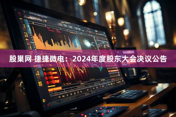 股巢网 捷捷微电：2024年度股东大会决议公告
