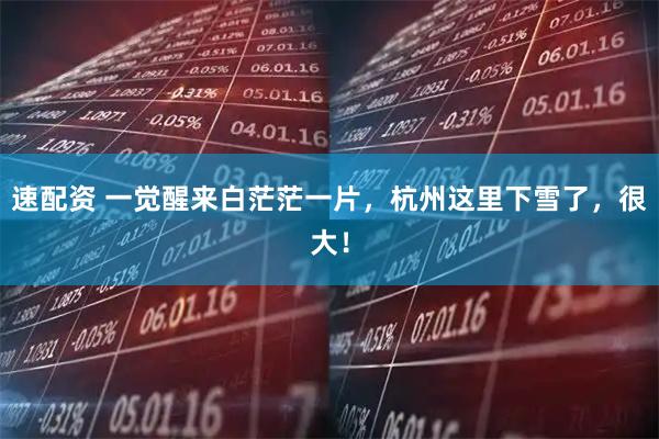 速配资 一觉醒来白茫茫一片，杭州这里下雪了，很大！