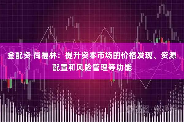 金配资 尚福林：提升资本市场的价格发现、资源配置和风险管理等功能